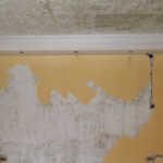 Molerski radovi - projekat 29